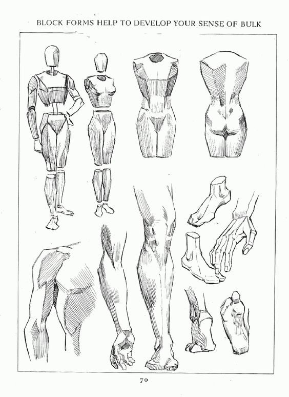 4 key exercises when learning to draw